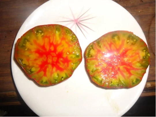 Ananis Noire tomato 10 seeds (Black pineapple) HEIRLOOM