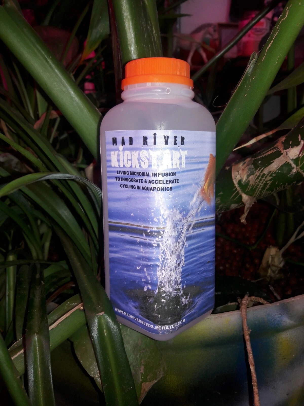 Aquaponic KICKSTART live culture organic plant fertilizer aquaponics ships FREE!