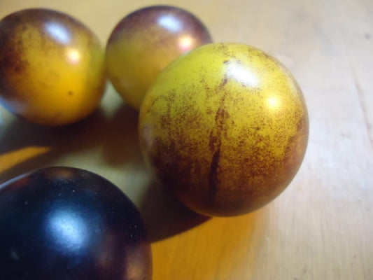 Bosque Bumblebee Heirloom Tomato 20 Seeds