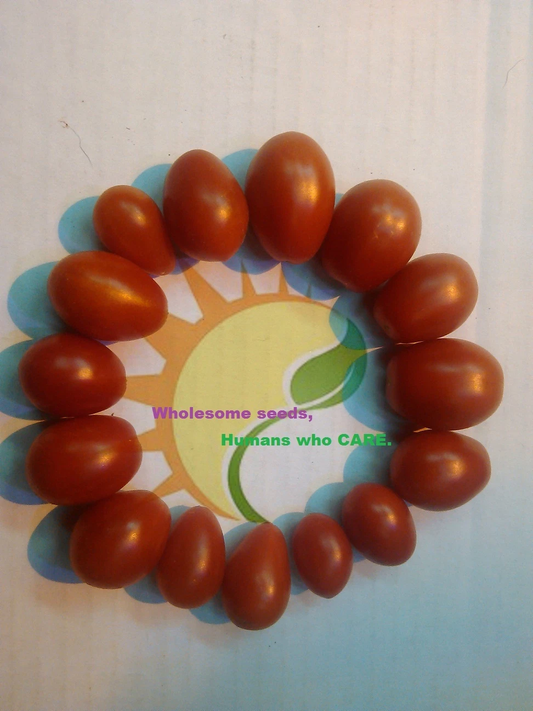 San Marzano tomato RARE! *HEIRLOOM* 20 seeds