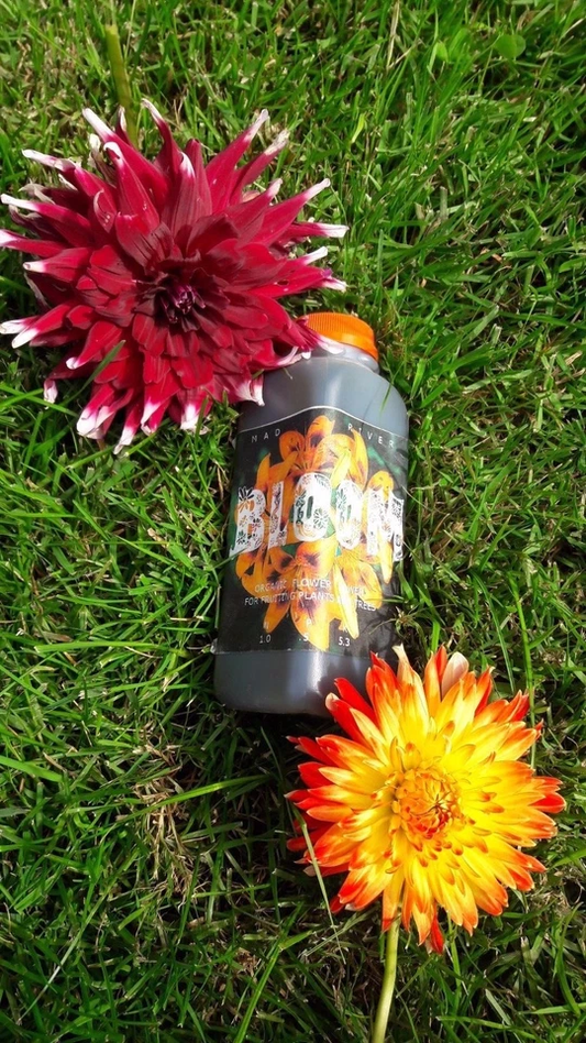 Mad River   ORGANIC BLOOM plant nutrient Concentrate  makes TWO GALLONS