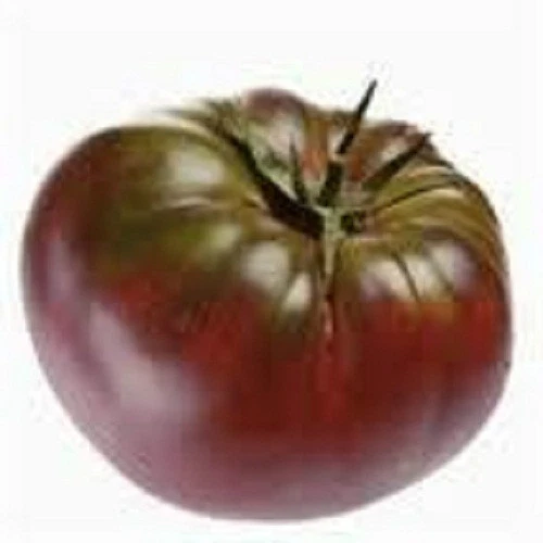 Cherokee Purple Tomato seeds 20 seeds! *HEIRLOOM* SEEDS OF LIFE