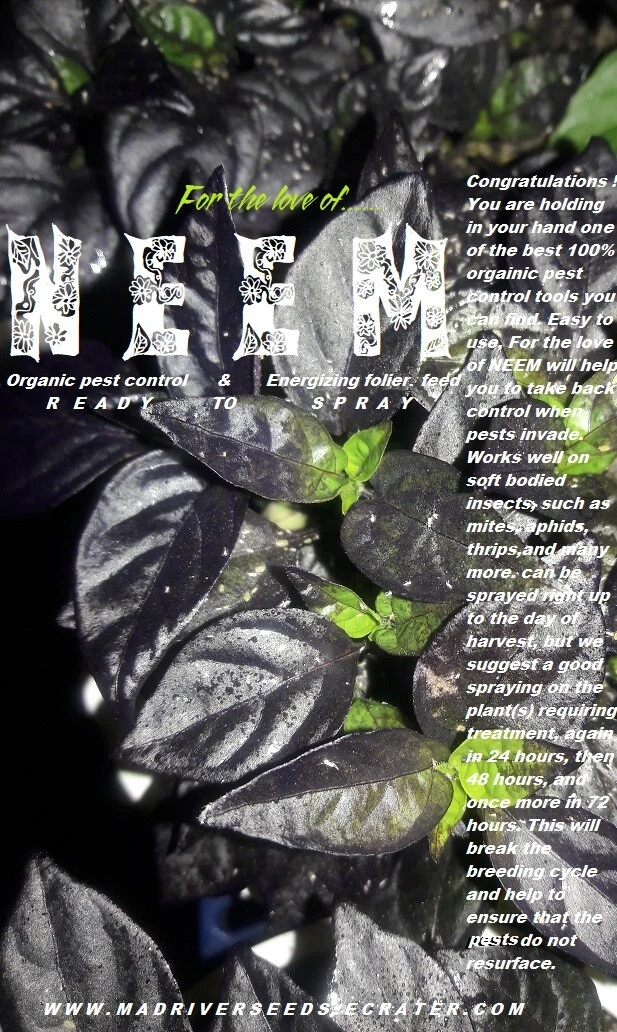 For the love of NEEM  READY TO SPRAY  organic pesticide/leaf polish/foliar feed