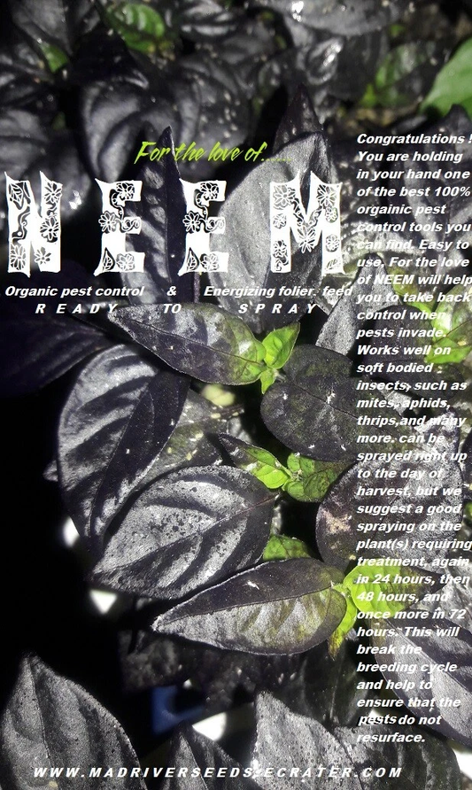 For the love of NEEM  READY TO SPRAY  organic pesticide/leaf polish/foliar feed