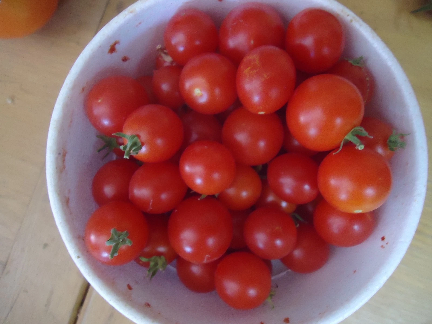 Heirloom Cherry tomato variety pack FREE SHIP + FREE GIFT!