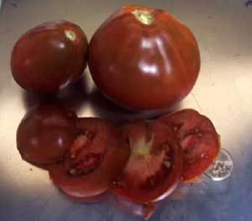 Japanese Black Trifele tomato 20 seeds *HEIRLOOM* SEEDS of LIFE