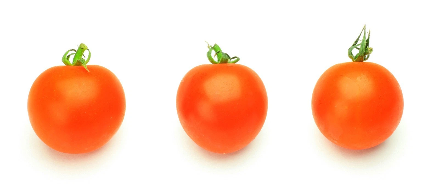 Mini Orange tomato 20 seeds *HEIRLOOM* FREE SHIPPING!