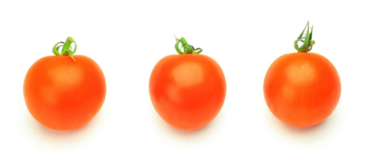 Mini Orange tomato 20 seeds *HEIRLOOM* FREE SHIPPING!