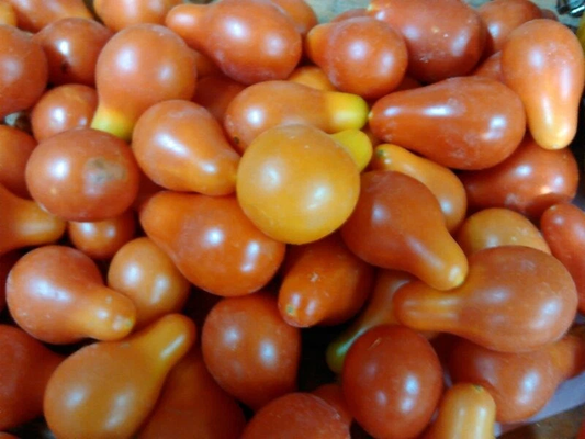 Red Pear tomato *HEIRLOOM* 20 seeds *ORGANIC * Seeds of Life